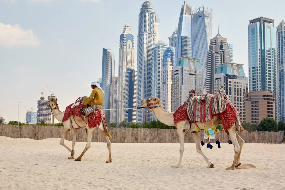 Discover Dubai